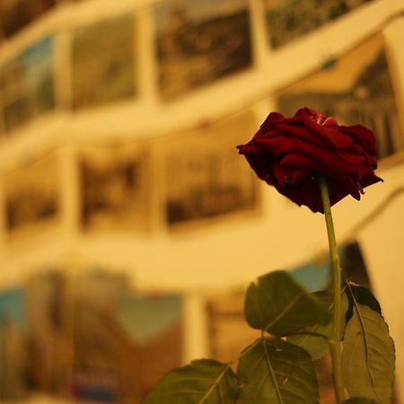 Moosica Hostel Tbilisi Eksteriør bilde